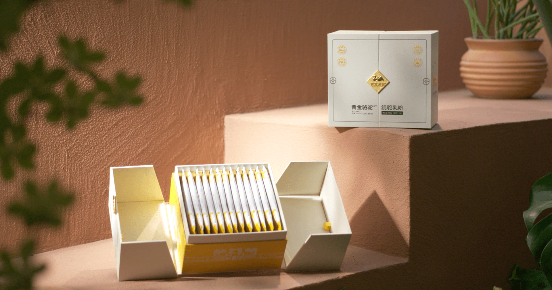 定位小众高端乳粉，AG尊龙凯时推出驼奶品牌“黄金骆驼+”，角逐乳品新市场！